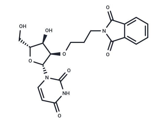 化合物 2’-O-Phthalimidopropyl uridine|TNU1664|TargetMol