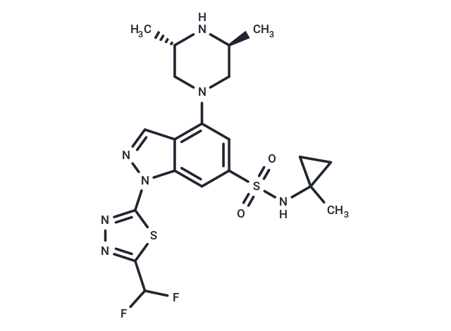 化合物 PARG-IN-4|T81546|TargetMol