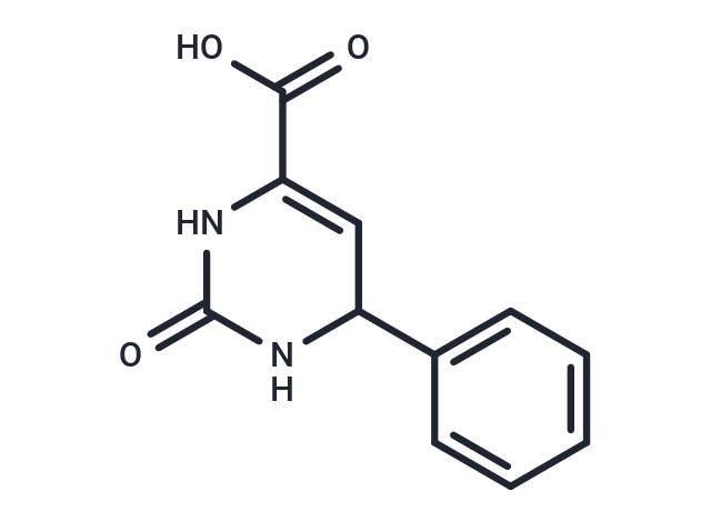 5-(2-苯基亚乙基)咪唑烷-2,4-二酮|T67762|TargetMol