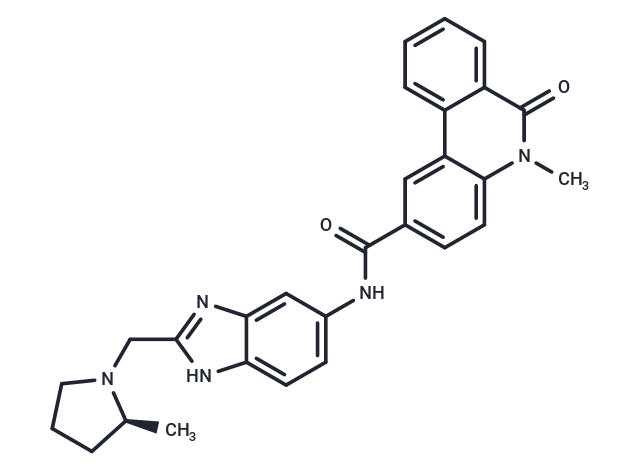 化合物 Eleven-Nineteen-Leukemia Protein IN-3|T72098|TargetMol