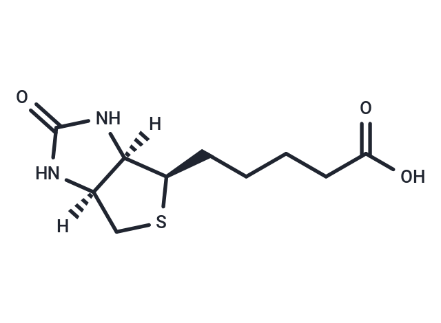 化合物 L-Biotin|T81946|TargetMol