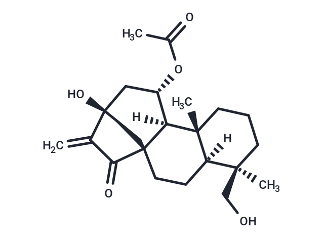 叶含乙酰瘿花香茶菜素 A|TN4919|TargetMol