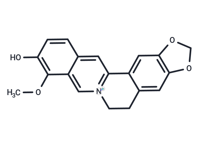 化合物 Thalifendine|T125531|TargetMol