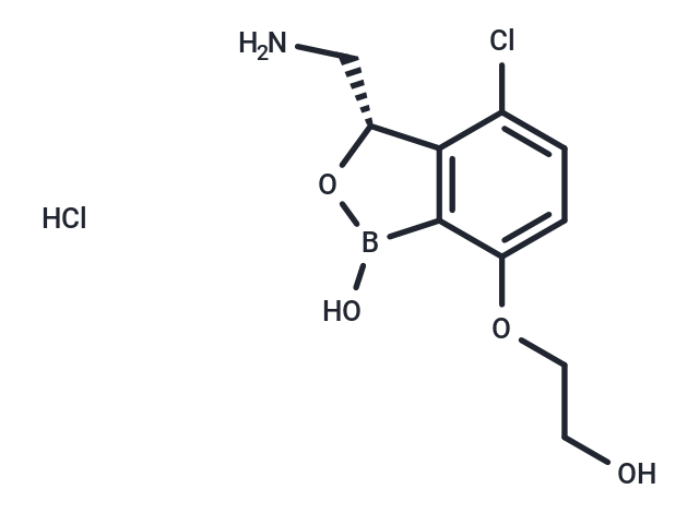 Ganfeborole 盐酸盐|T11497|TargetMol