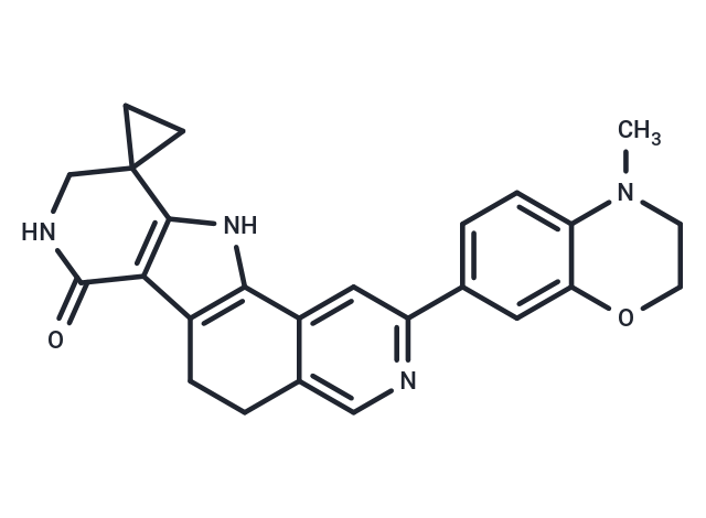 化合物 MK2-IN-4|T62110|TargetMol