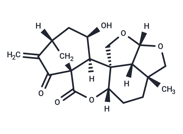 黄花香茶菜 B|TN4970|TargetMol