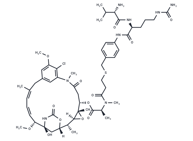 化合物 vc-PABC-DM1|T77848|TargetMol