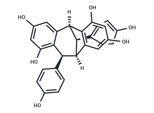 化合物 (+)-Isoampelopsin F|TN6249|TargetMol