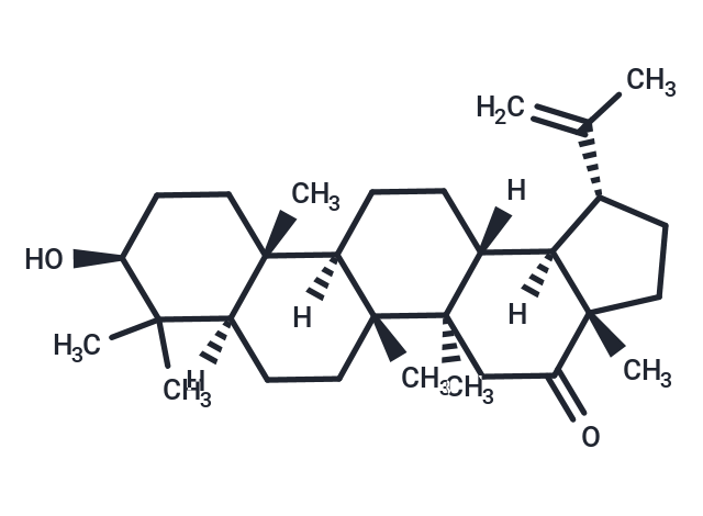 化合物 3β-Hydroxy-lup-20(29)-en-16-one|T79892|TargetMol