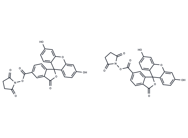 5(6)-羧基荧光素琥珀酰亚胺酯|T18895|TargetMol