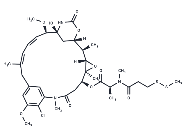 化合物 DM1-Sme|T21408|TargetMol