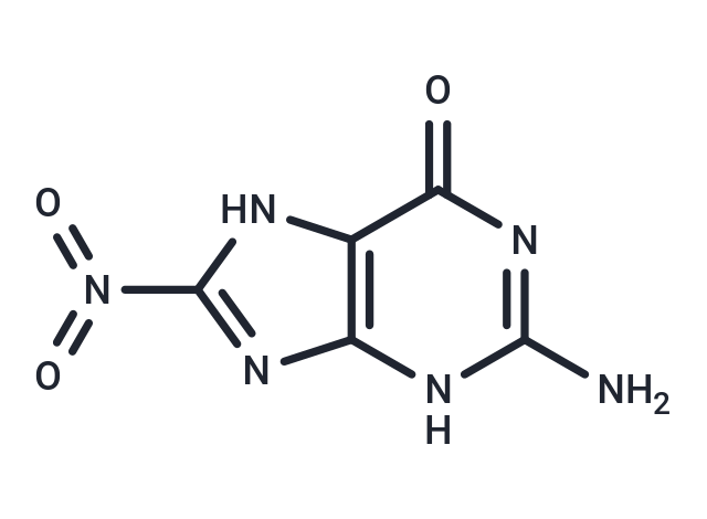 8-Nitroguanine|T36697|TargetMol