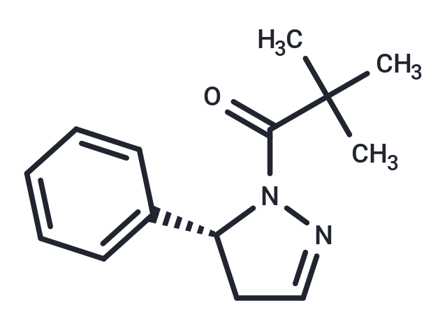 化合物 GSK962|T15444|TargetMol