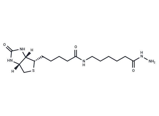 生物素LC酰肼|T19210|TargetMol