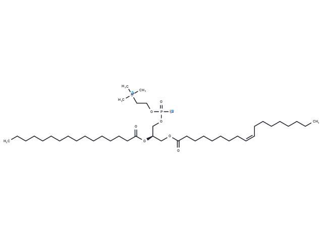 化合物 1-Oleoyl-2-palmitoyl-sn-glycero-3-PC|T74236|TargetMol