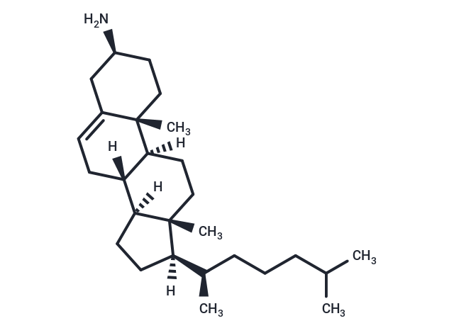 化合物 Cholesterylamine|T82730|TargetMol