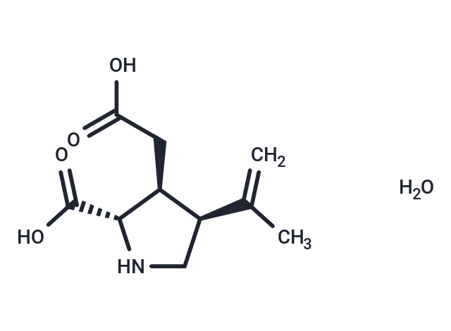 (-)-(α)-Kainic Acid (hydrate)|T37557|TargetMol