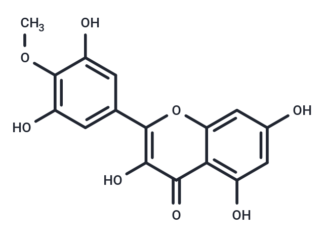 化合物Mearnsetin|T3837|TargetMol