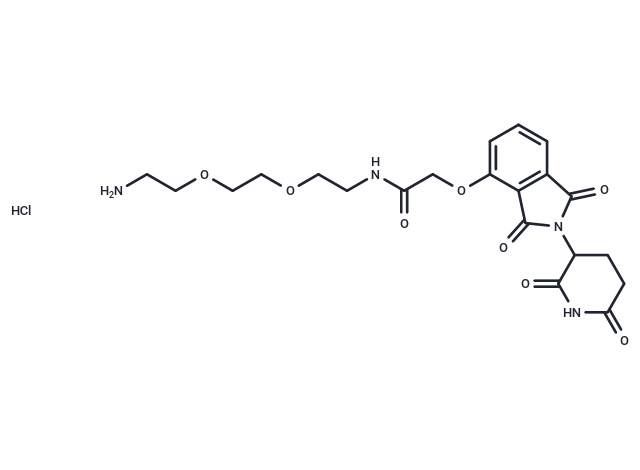 化合物Thalidomide-O-amido-PEG2-C2-NH2 hydrochloride|T18819|TargetMol