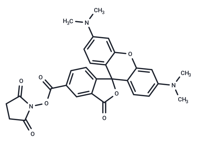 NHS-5(6)Carboxyrhodamine|T38994|TargetMol