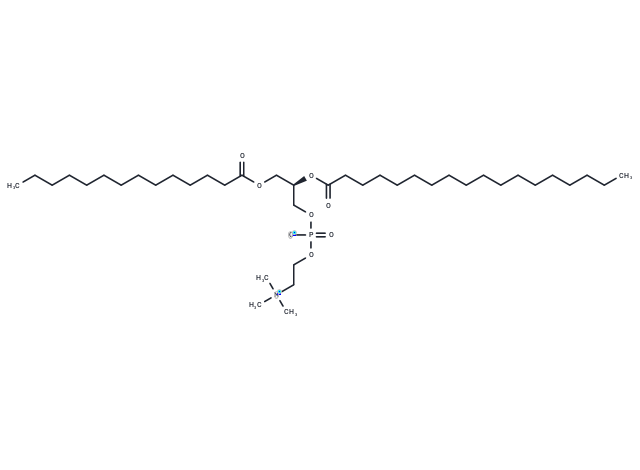 化合物 1-Myristoyl-2-stearoyl-sn-glycero-3-phosphocholine|T10022|TargetMol