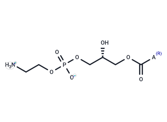 Lysophosphatidylethanolamines (egg)|T37999|TargetMol