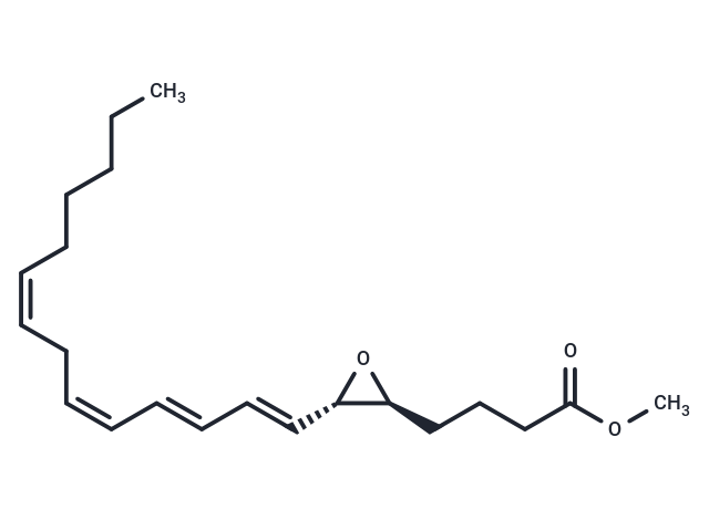 Leukotriene A4 methyl ester|T37616|TargetMol