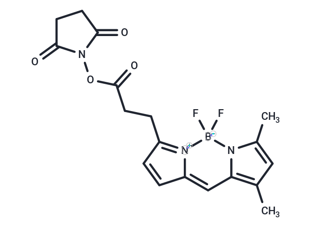 化合物 BODIPY-FL NHS ester|T78383|TargetMol