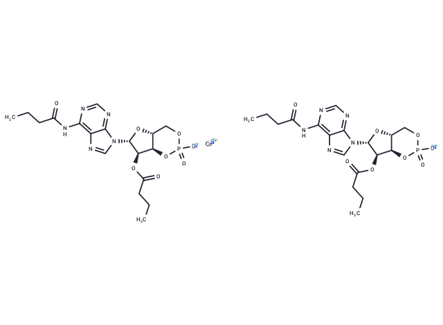 化合物 Bucladesine calcium|T63257|TargetMol