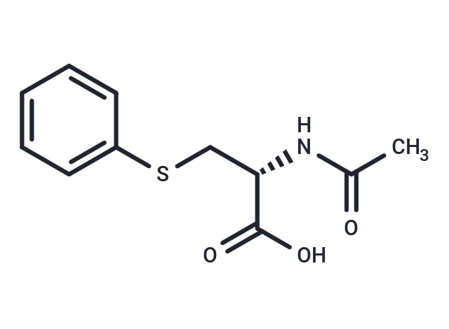 化合物 S-Phenylmercapturic acid|T73940|TargetMol