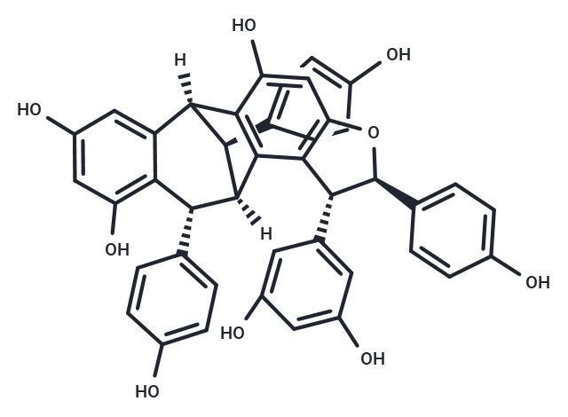 化合物 Ampelopsin G|TN6475|TargetMol