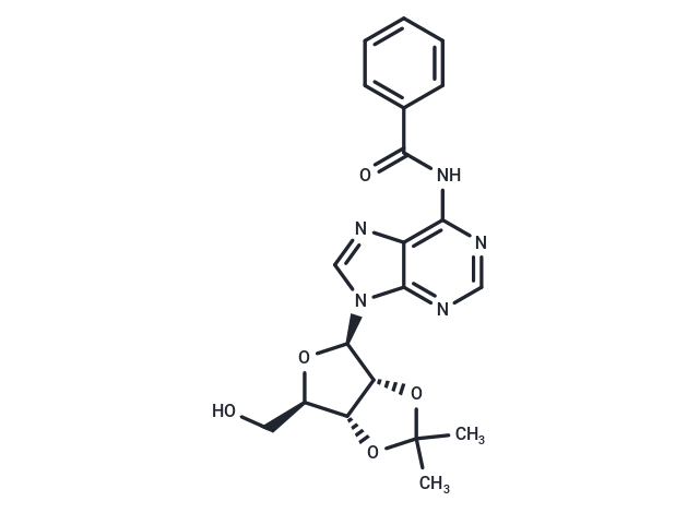 化合物 N6-Benzoyl-2',3'-isopropylidene adenosine|TNU1341|TargetMol