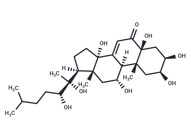 化合物 Muristerone A|T21672|TargetMol