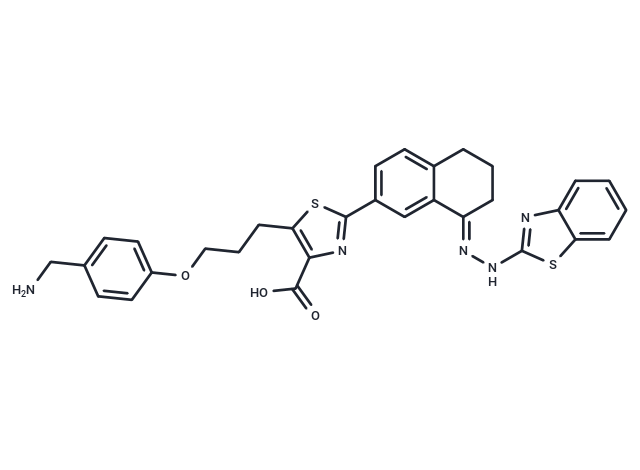 化合物 WEHI-539|T13337L|TargetMol