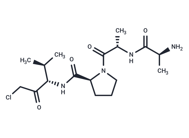 化合物 Ala-Ala-Pro-Val-chloromethylketone|T72111|TargetMol