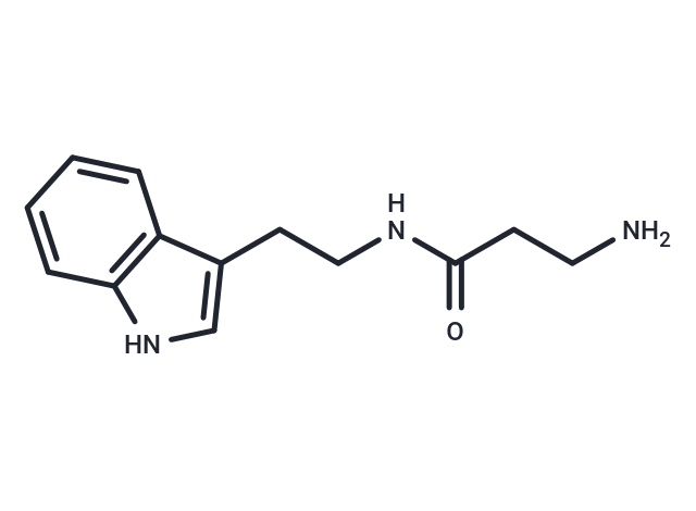 化合物 Indole-C2-amide-C2-NH2|T77862|TargetMol