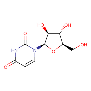 阿糖尿苷