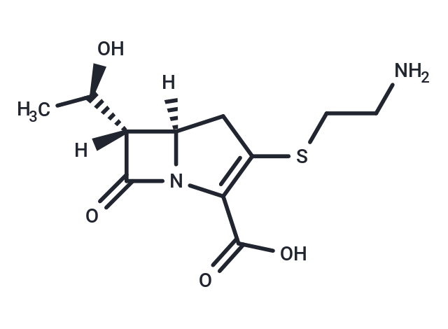 化合物 (+)-Thienamycin|T83594|TargetMol