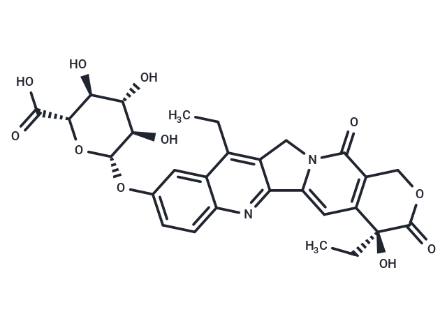 化合物 SN-38 glucuronide|T73905|TargetMol