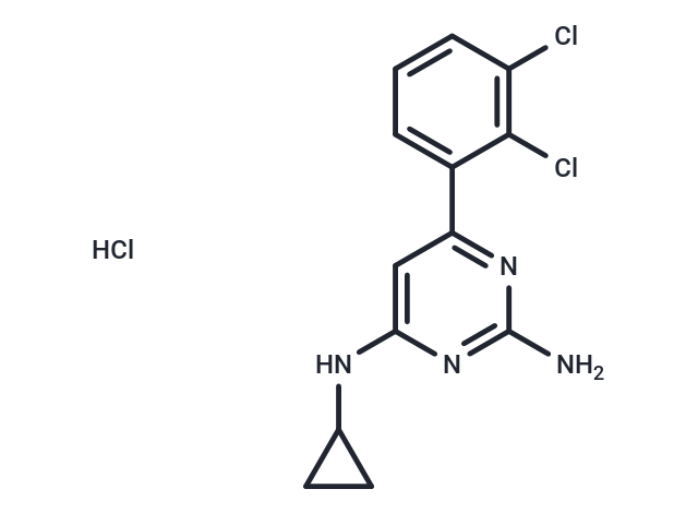 化合物 TH588 hydrochloride|T60984|TargetMol