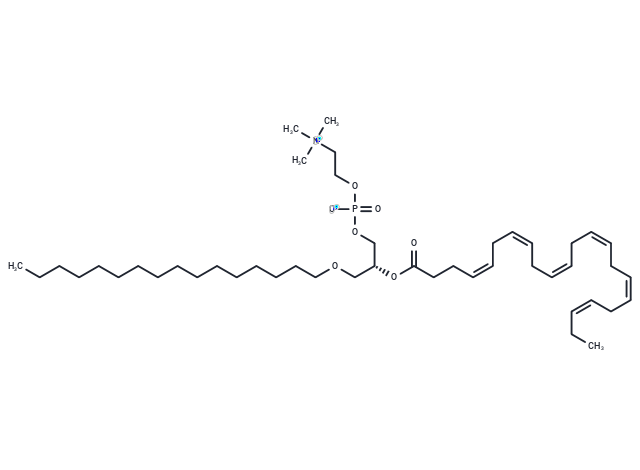 化合物 1-O-Hexadecyl-2-O-docosahexaenoyl-sn-glycero-3-phosphorylcholine|T77230|TargetMol