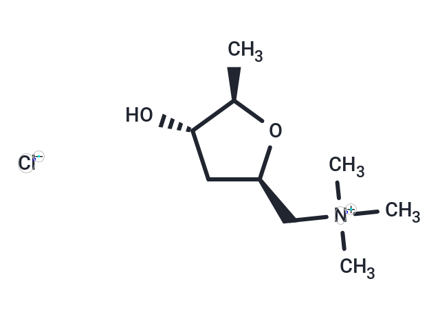 化合物 (±)-Muscarine chloride|T60253|TargetMol