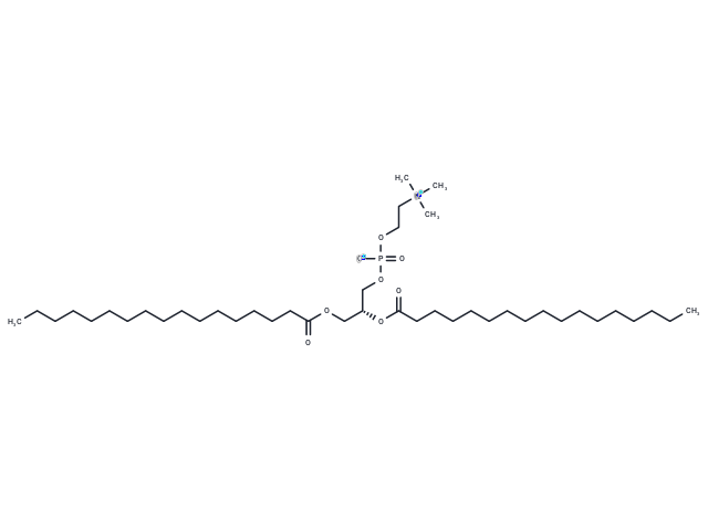 化合物 1,2-Diheptadecanoyl-sn-glycero-3-phosphorylcholine|T83476|TargetMol