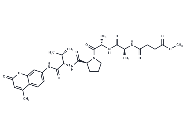 化合物MeOSuc-AAPV-AMC|T38364|TargetMol