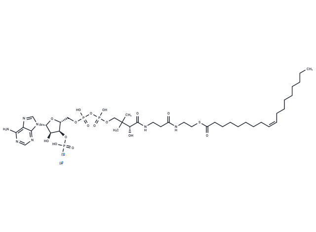 化合物 Oleoyl coenzyme A lithium|T78511|TargetMol