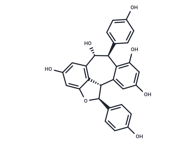 化合物 Ampelopsin A|TN6213|TargetMol