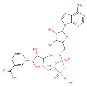 beta-烟酰胺腺嘌呤二核苷二钠