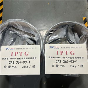 异丙基-beta-D-硫代半乳糖吡喃糖苷   IPTG  100克/瓶  500克/瓶  1kg/瓶  25kg/桶