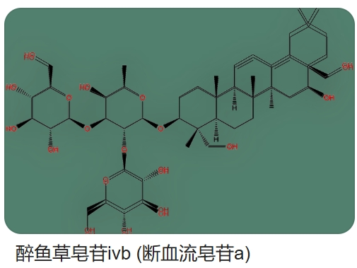 断血流提取物(灯笼草提取物)；断血流皂苷A；醉鱼草皂苷Ⅳb；断血流皂苷4b；含量0.8%-1.2%；妇科用原料