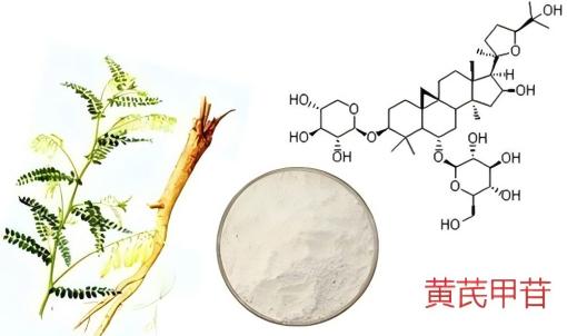 黄芪甲苷,质量保证，不满意就退款是我们的承诺